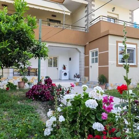 Vila Agolli فلورا المظهر الخارجي الصورة