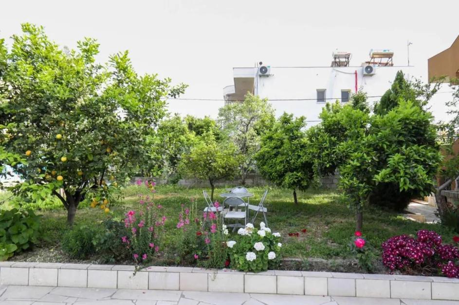 Vila Agolli فلورا المظهر الخارجي الصورة
